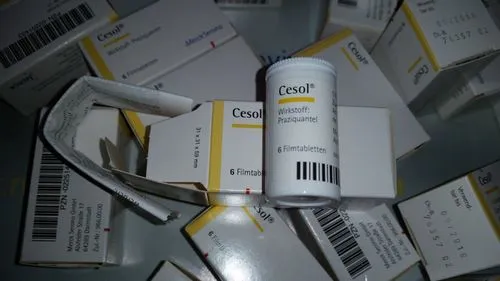 як лікувати опісторхоз