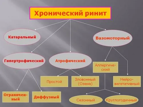Хронічний нежить: хронічний катаральний риніт, хронічний вазомоторний риніт, хронічний гіпертрофічний риніт та хронічний атрофічний риніт хронічний нежить вазомоторний риніт катаральний