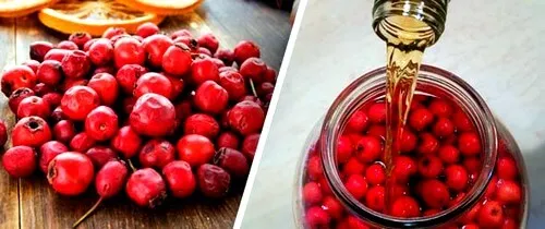 миготлива аритмія лікування народними засобами