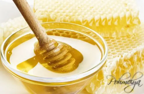лікувати похмілля пивом