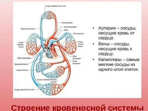 лікувати тиск