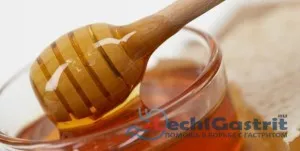 як лікувати шлунок алое