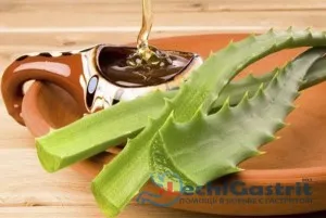 як лікувати шлунок алое