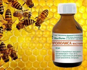 як лікувати гастрит прополісом