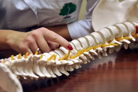 як лікувати туберкульоз кісток народними засобами