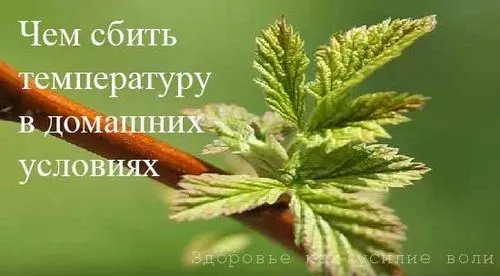 ніж збити температуру в домашніх умовах