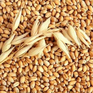 як лікувати ерозивний гастрит народними засобами