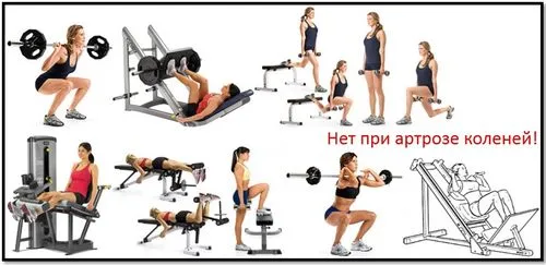 спорт і здоров'я