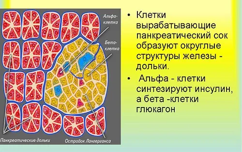 як лікувати хронічний холецистит і панкреатит