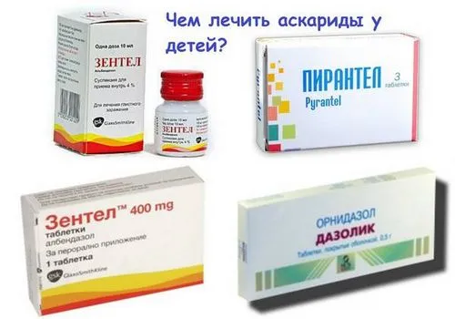 Аскариди у дитини: симптоми і лікування аскаридозу у дітей як лікувати лямблії і аскариди у дітей