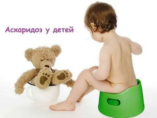 Аскариди у дитини: симптоми і лікування аскаридозу у дітей як лікувати лямблії і аскариди у дітей