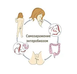 як лікувати глисти у дорослої людини