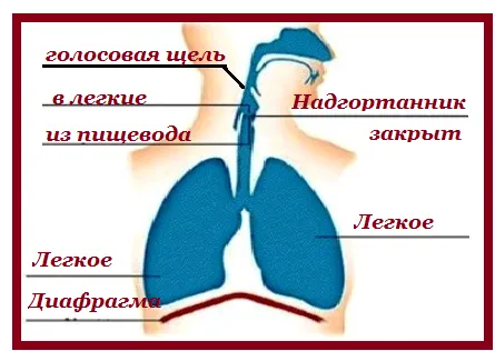 гикавка причини