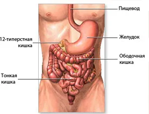 лікування геморою содою