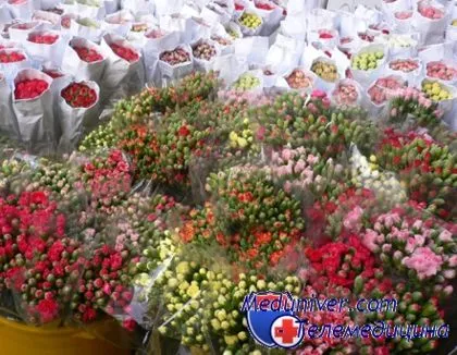 як розпізнати алергію на квіти