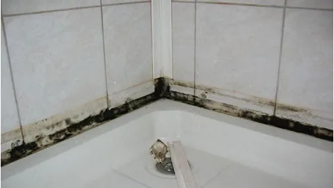 лікувати грибок нігтів яблучним оцтом