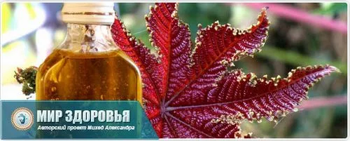 як лікувати геморой розторопшею