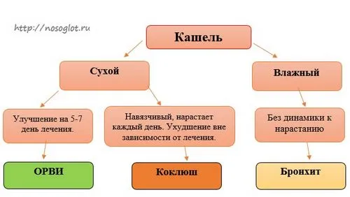 як лікують коклюш у дорослих