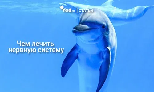 як вилікувати нерви і психіку