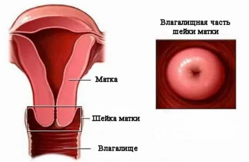 Як народити без розривів як лікувати розрив після пологів
