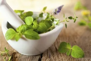 як лікувати остеохондроз народною медициною