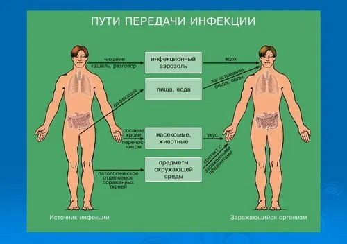 гепатит а лікується