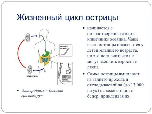 як і чим лікувати гострики