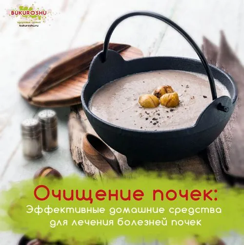 як ефективно лікувати нирки