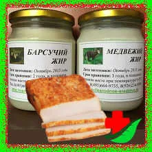 організм