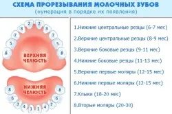лікування кишечника