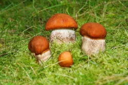 лікування запору