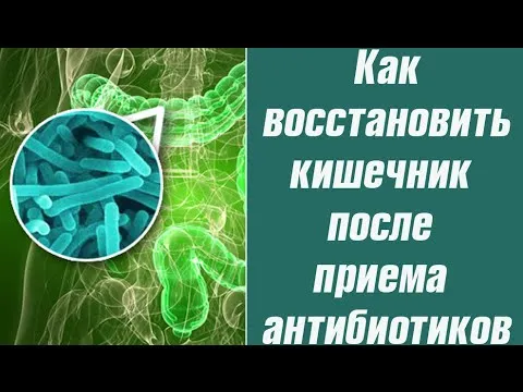 як лікувати шлунок після антибіотиків