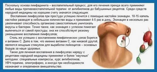 м'яз