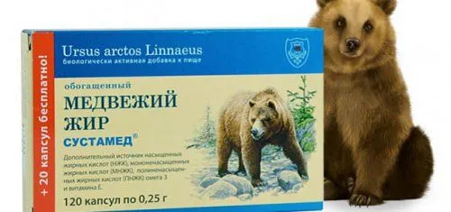 ведмежий жир застосування