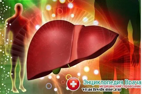 як лікувати пухку печінку