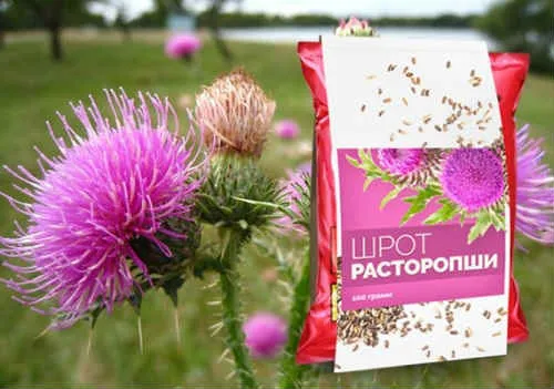 як лікувати печінку маслом розторопші
