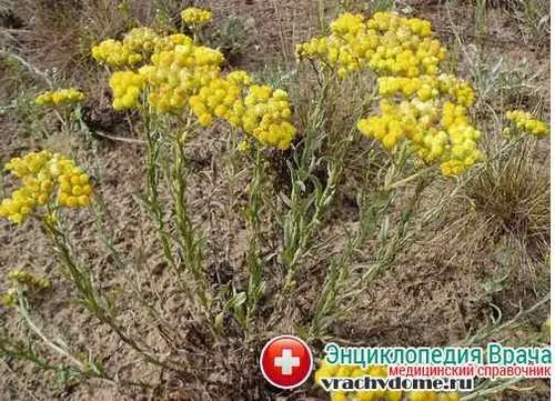 дифузний жировий гепатоз печінки симптоми лікування дієта