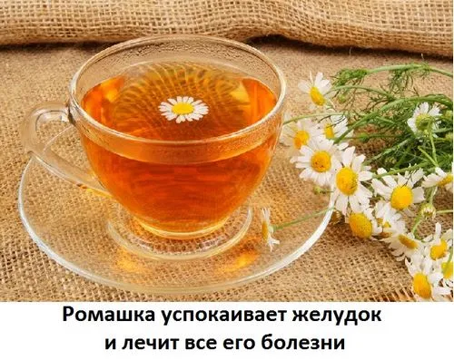 лікування болиголов