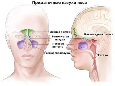 як лікувати хронічний фронтит