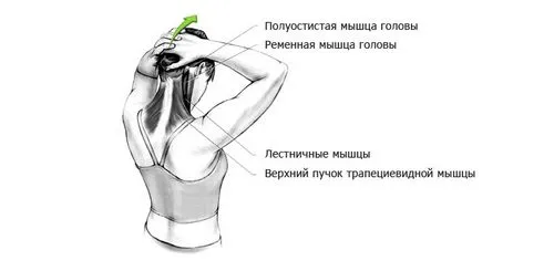 розтяжка шиї