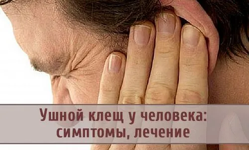 як лікувати демодекс в вухах