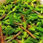 як лікувати суглоби рук