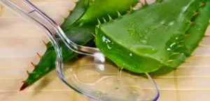 як лікувати гастрит алое