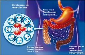 при кишкових інфекціях і отруєнні шлунком з температурою