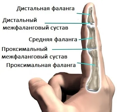 лікувати артроз кисті