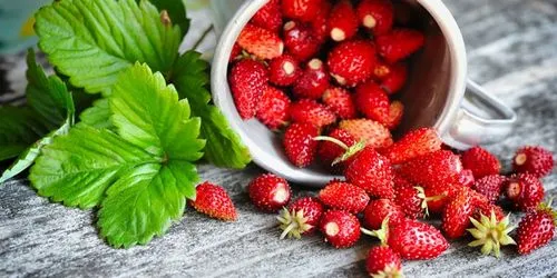 Анемія - що це таке, причини, симптоми і лікування захворювання анемія