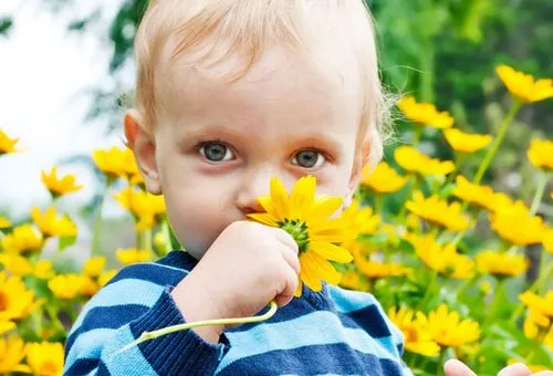 алергія на пилок у дитини