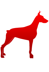 Vaccinarea de pui, cât de mult este prețul vaccinărilor primul cățeluș, imunitate veterinar