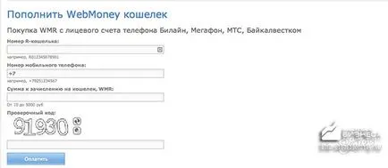 WebMoney cum să finanțeze cel mai eficient și mai rapid mod de! (Top) WebMoney cum să finanțeze cel mai eficient și mai rapid mod de!