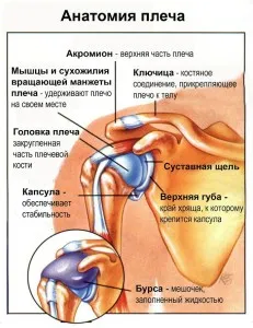 як лікувати вапняний бурсит